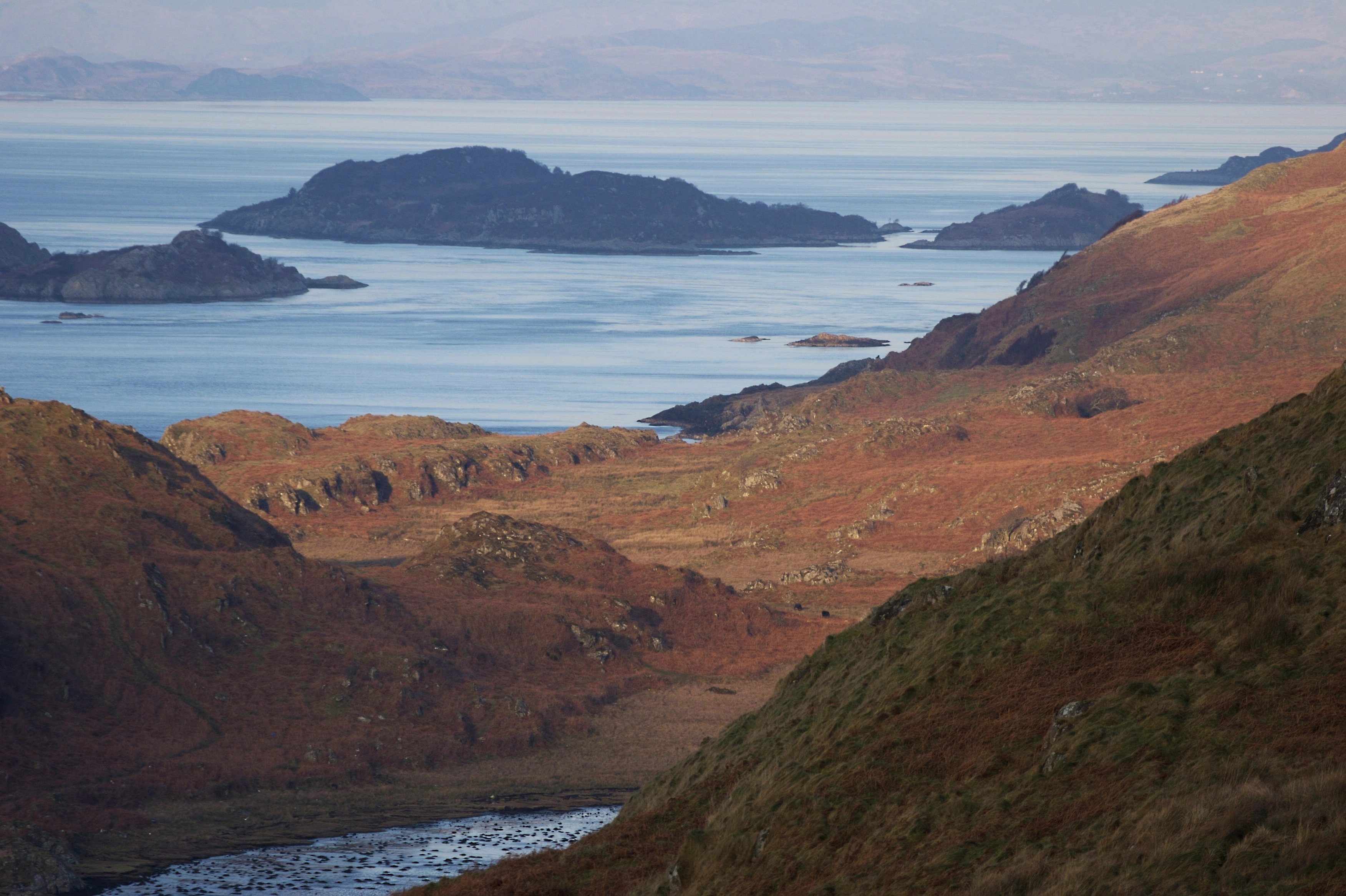 Our role in accelerating nascent markets